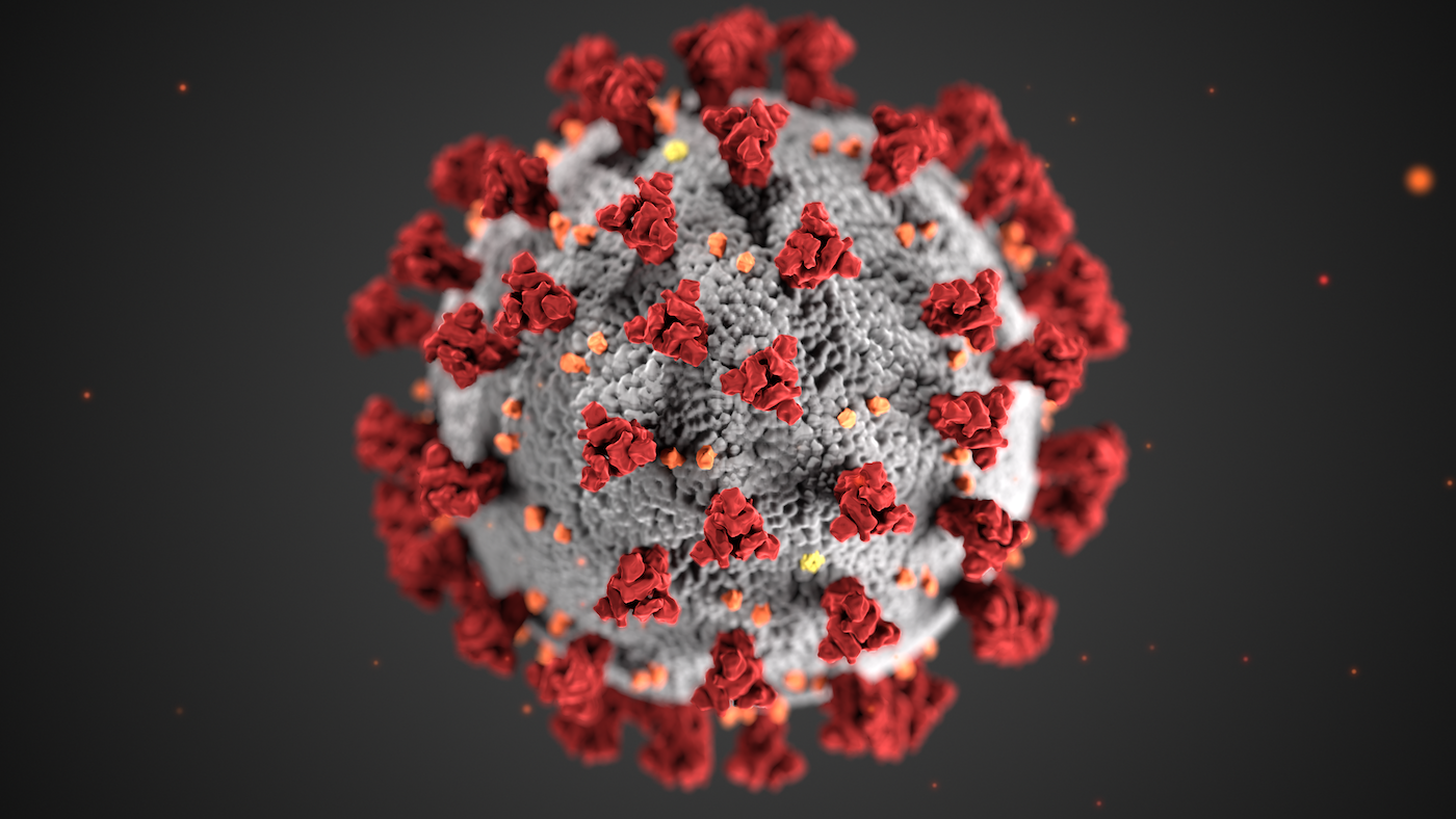 Illustration of the ultrastructure of the Covid-19 virus. CDC/SCIENCE PHOTO LIBRARY